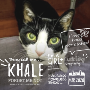Khale