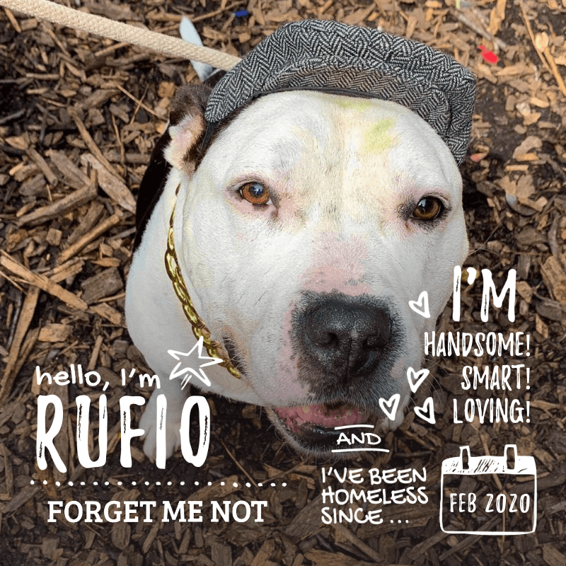 Rufio