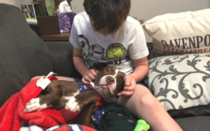 COVID-19 quarantine inspires Air Force veteran to give abused Pit Bull a loving home