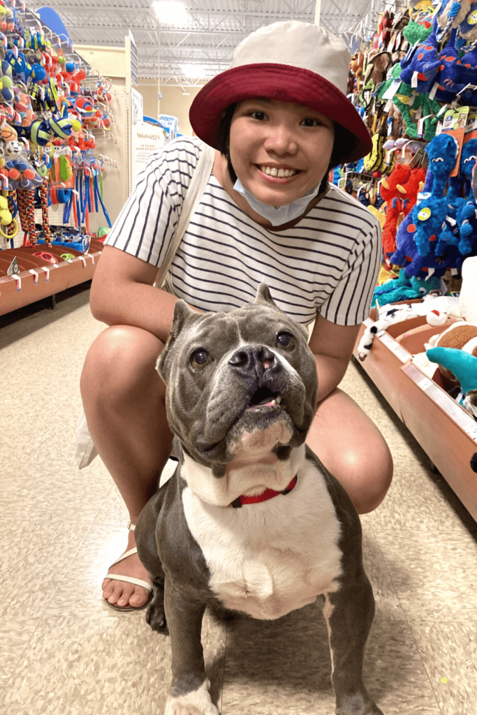 Newlywed sailor and his wife become first-time pet parents to old homeless Pit Bull