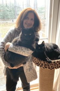 Sweet sounds of sibling cats fills retired Navy veteran's empty nest