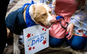 Multi-tour combat veteran and amputee rescues disfigured bait dog who was left for dead