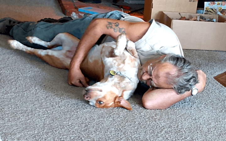 Rescue dog helps Iraq war veteran with Traumatic Brain Injury reclaim his life