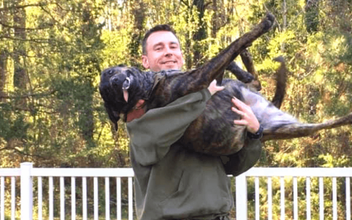Elvis has left the building: hound goes home with two-tour Afghanistan war veteran