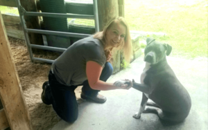 Young Navy veteran wins fight of her life with old rescue dog at her bedside