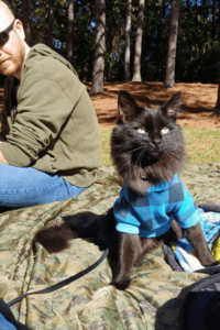 Rescue cat inspires immigrant Marine Corps veteran to embrace each day of her life