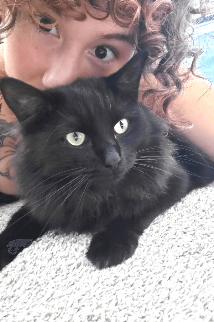 Rescue cat inspires immigrant Marine Corps veteran to embrace each day of her life