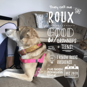 Roux