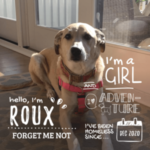 Roux