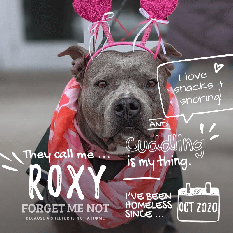 Roxy