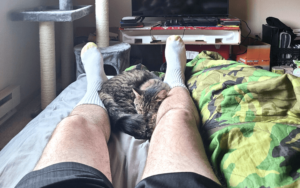 Rescue cat and support network uplift Iraq war veteran coping with loneliness of divorce