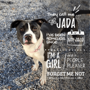 Jada