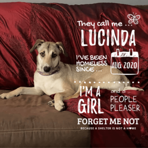 Lucinda
