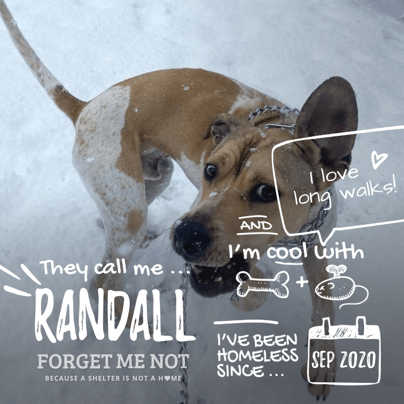 Randall