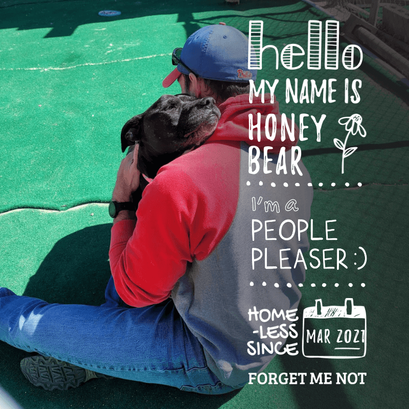 Honey Bear