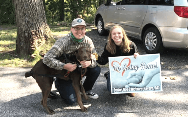 Senior rescue dog makes life complete for young Marine Corps veteran