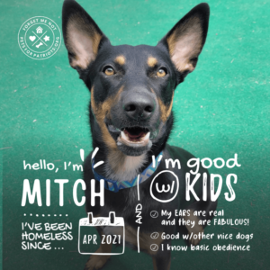 Mitch
