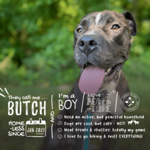 Butch