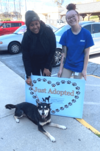 Career soldier rescues senior shelter dog who is 'gift that keeps on giving'