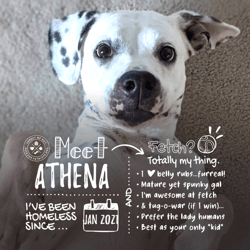 Athena