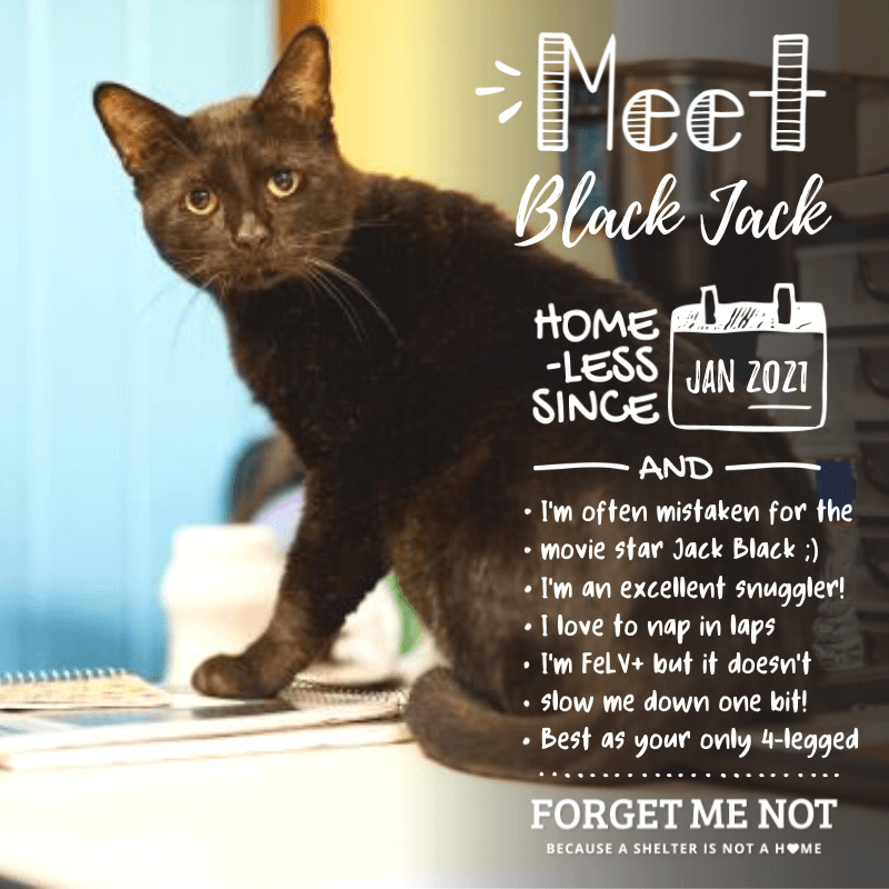 Black Jack