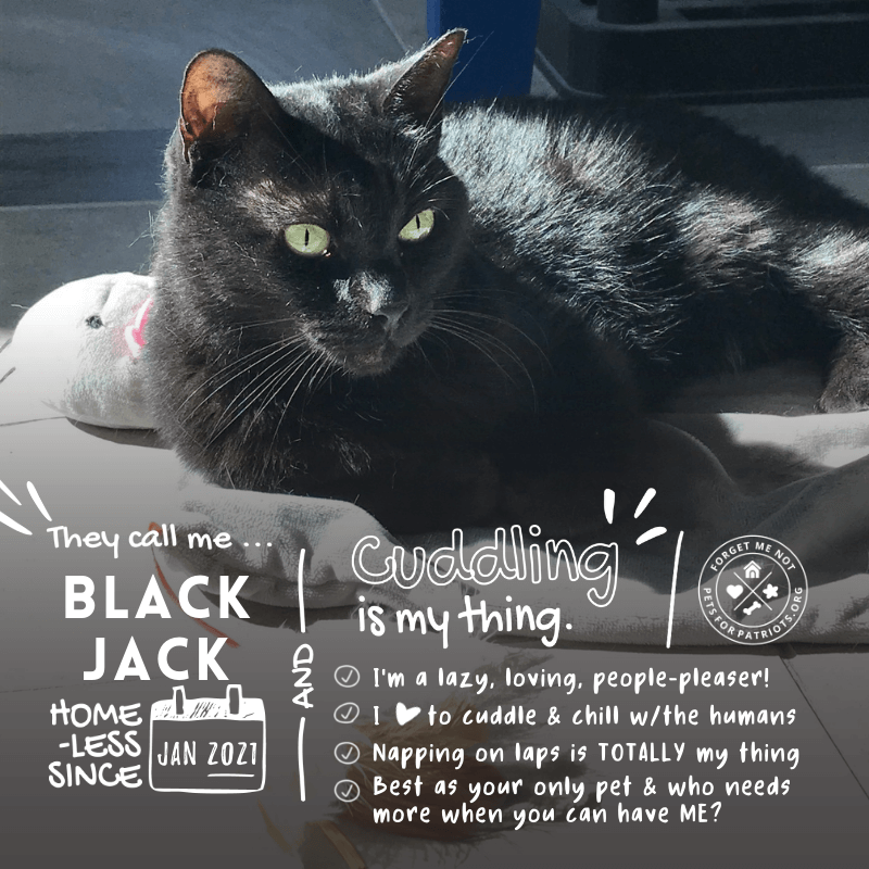 Black Jack
