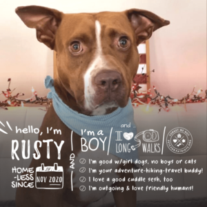 Rusty