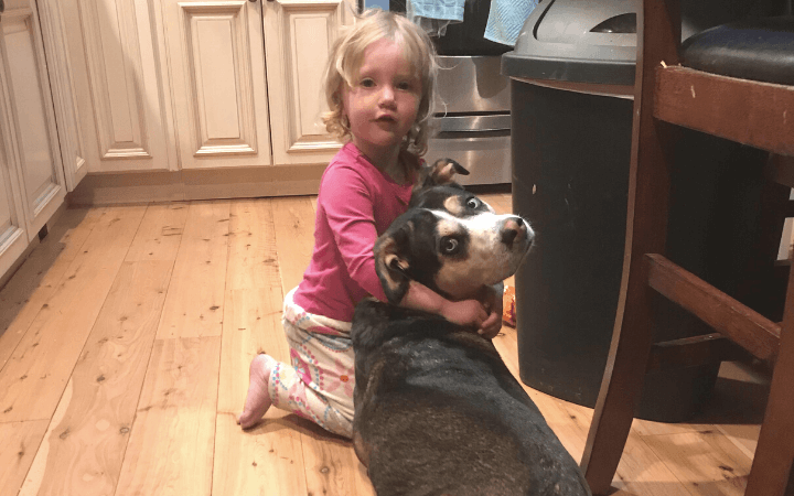Shelter dog is just right for Air Force veteran and his young family