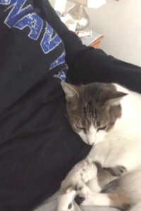 Navy veteran adrift in depression finds meaning with special needs cats