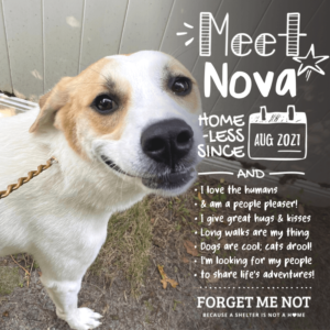 Nova