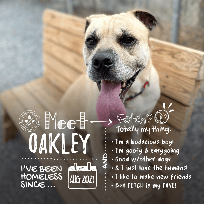 Oakley