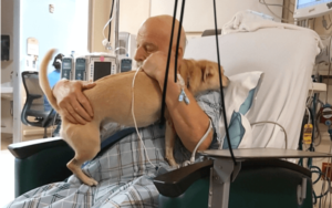 Elderly Coast Guard veteran with a heart for giving saves a dog in need