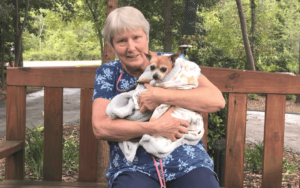 Retired Air Force nurse finds renewed purpose saving disabled senior dogs