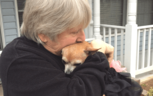 Retired Air Force nurse finds renewed purpose saving disabled senior dogs