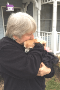 Retired Air Force nurse finds renewed purpose saving disabled senior dogs