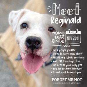 Reginald