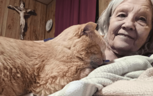 Lonely Air Force veteran finds renewed purpose with special needs senior cat