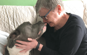 Army veteran saves emaciated senior Pit Bull with special needs