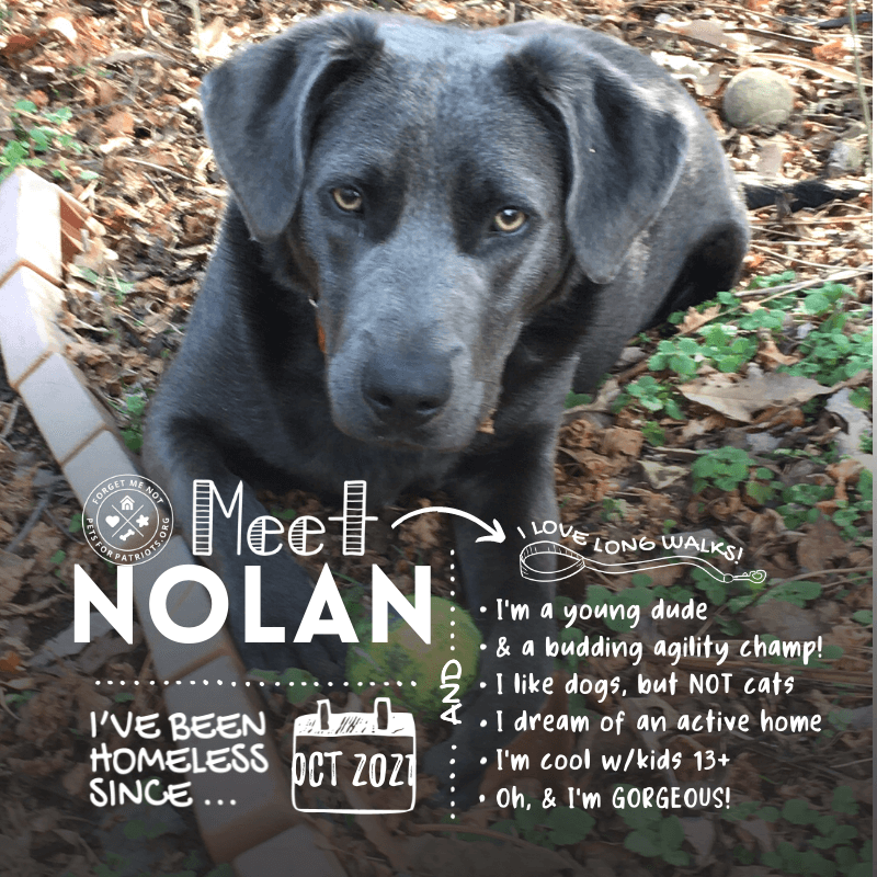 Nolan