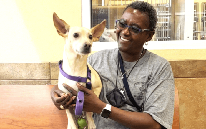 Fate plays a hand in lives of long term shelter dog and war weary veteran