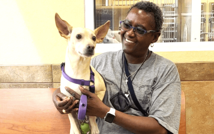 Fate plays a hand in lives of long term shelter dog and war weary veteran