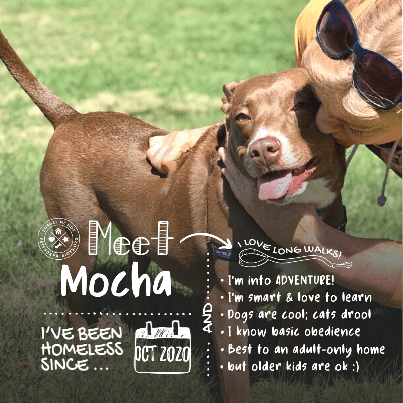 Mocha