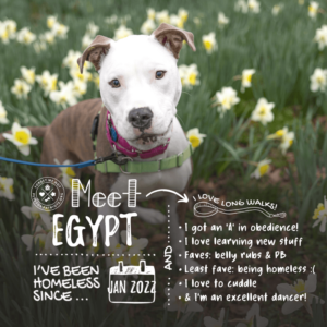 Egypt