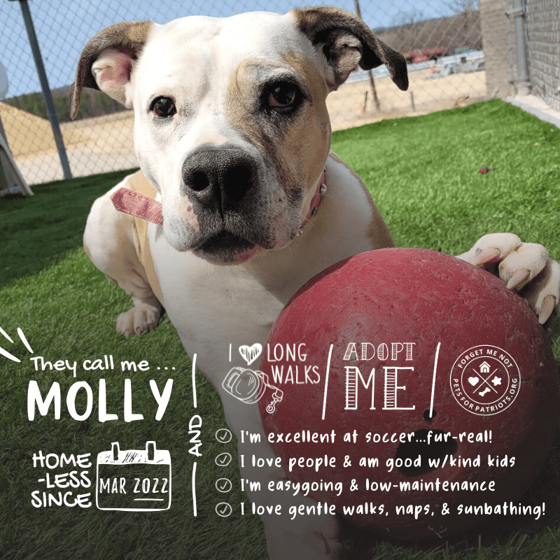 Molly