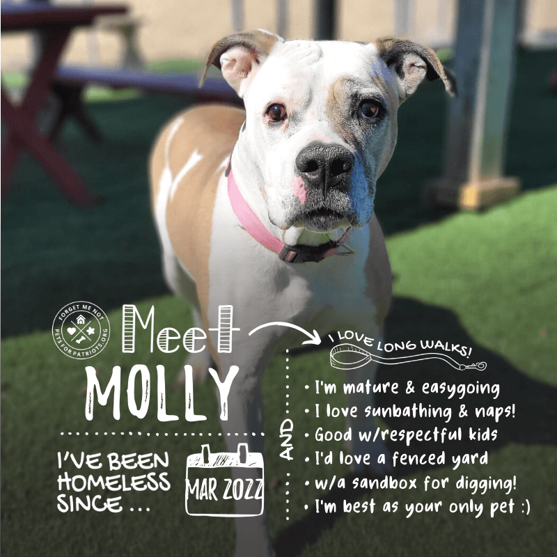 Molly