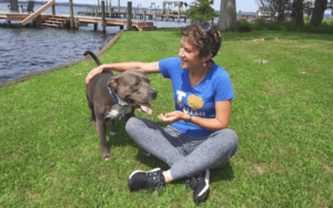 Cuddlesome Pit Bull chooses retired Iraq war veteran to adopt him