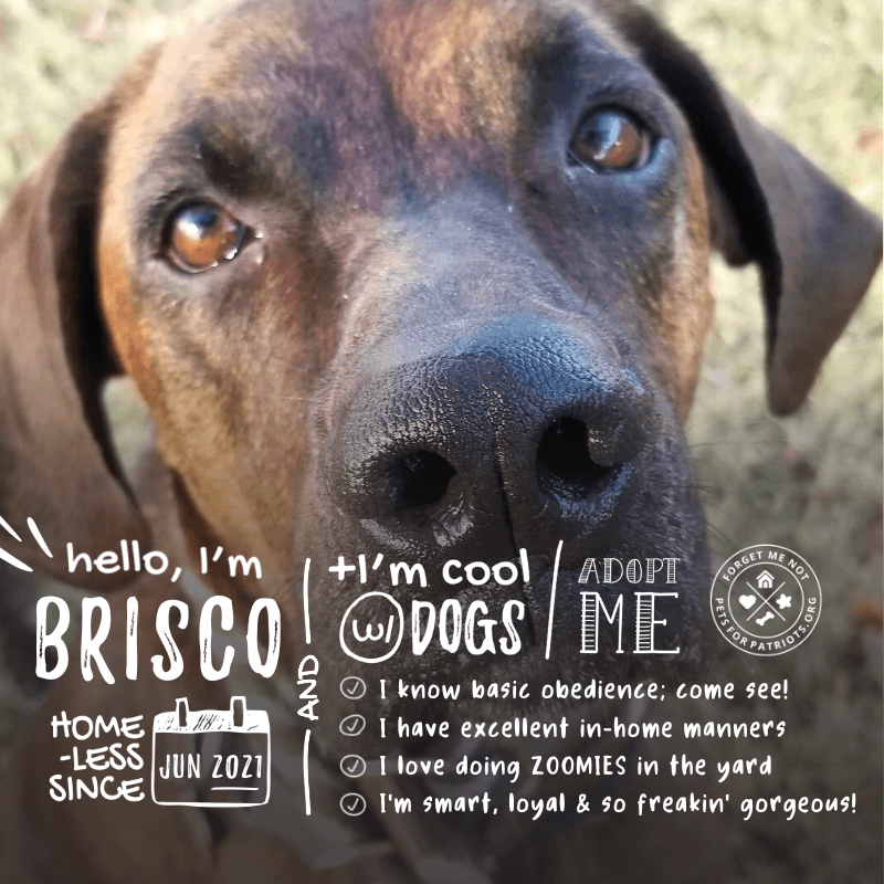 Brisco