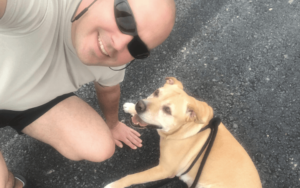 Daily walks with rescued Pit Bull helps lonely Navy veteran meet his new wife