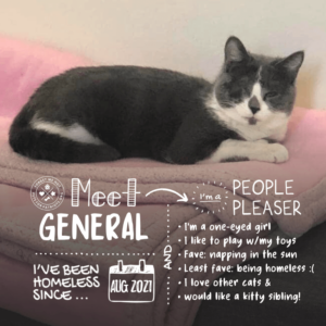 General