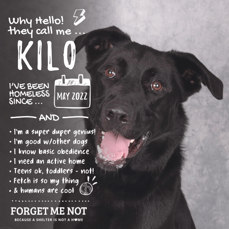 Kilo